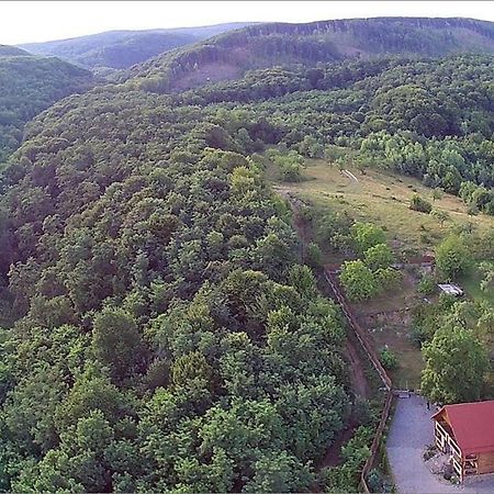Творча Садиба Svalyava Εξωτερικό φωτογραφία